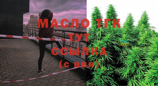 дурь Дмитриев