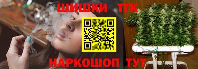 тгк Новоалтайск