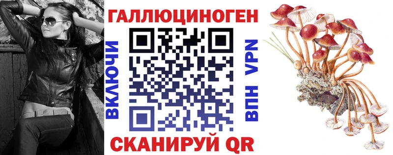 Псилоцибиновые грибы Psilocybine cubensis  MEGA ССЫЛКА  площадка формула  Балашиха 