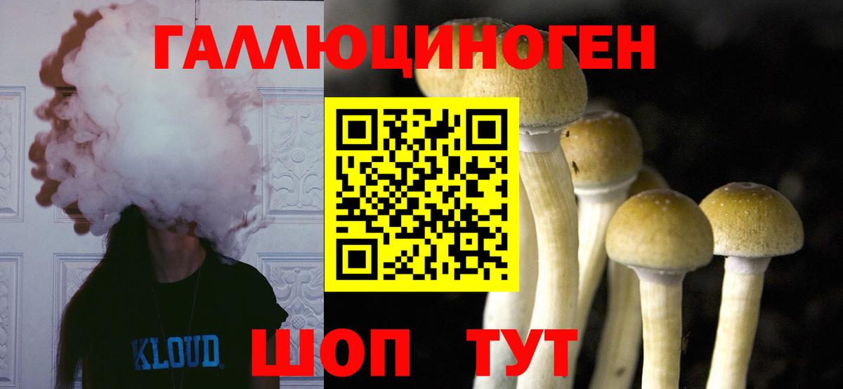 купить  сайты  Галлюциногенные грибы Cubensis  Вход с VPN  Псилоцибиновые грибы прущие грибы  Балашиха 